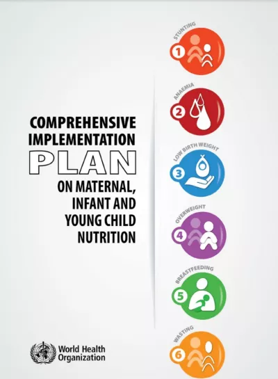Comprehensive implementation plan on maternal, infant and young child nutrition
